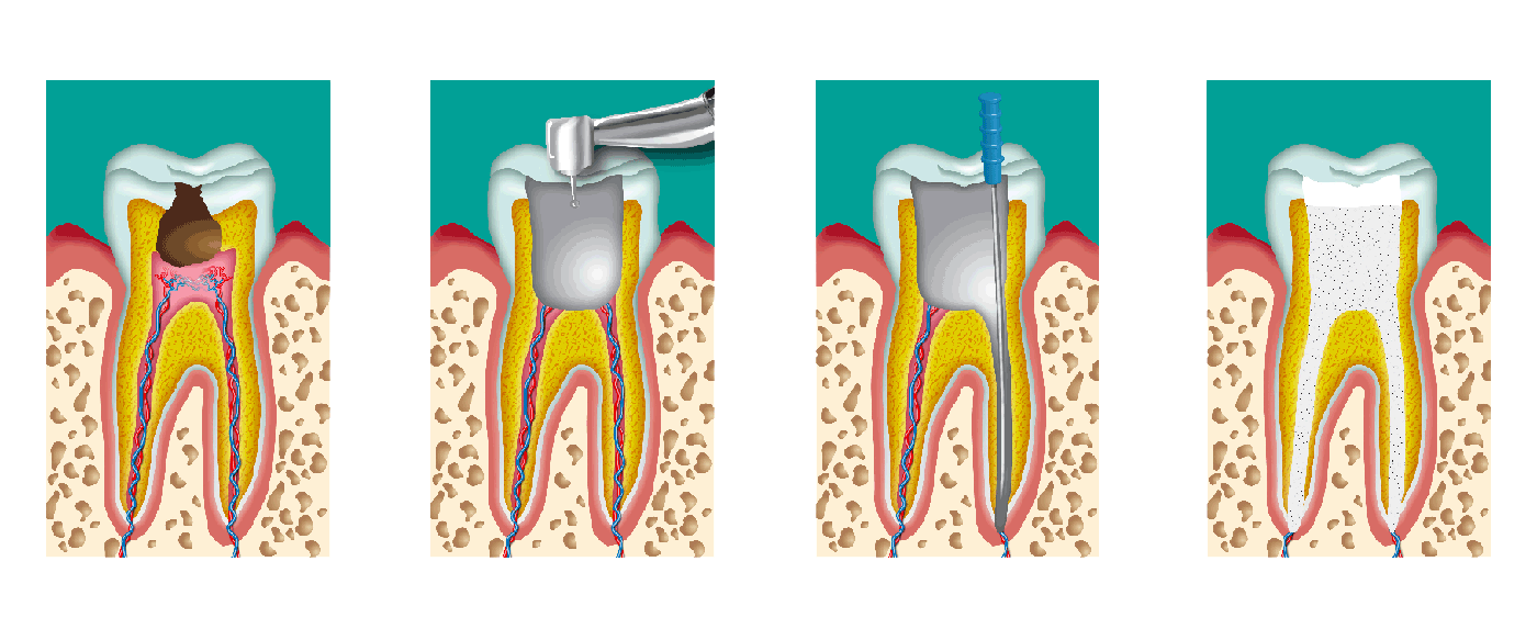 dentista-roca